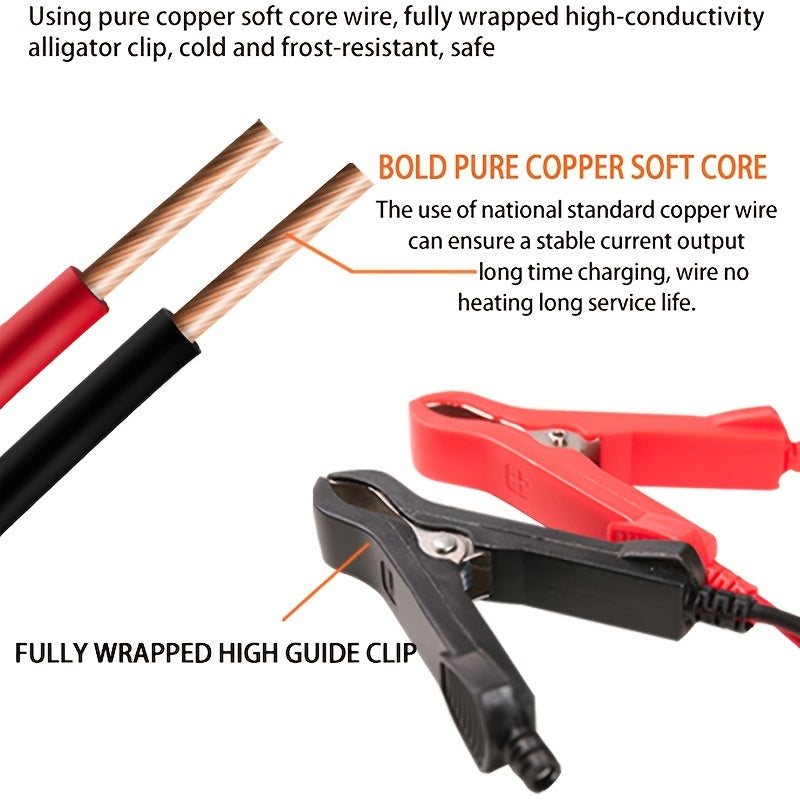 12V Smart Car Battery Charger – 6A