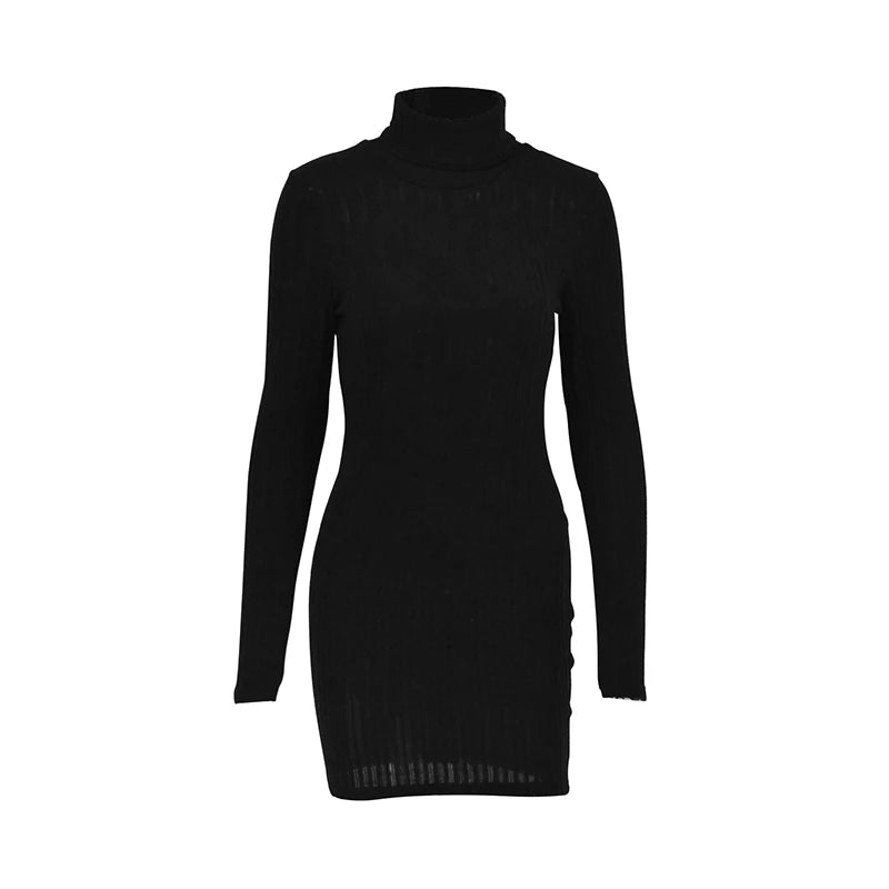 Solid Turtleneck Bodycon Mini Dress – Long Sleeve Knitted Party Dress for Women