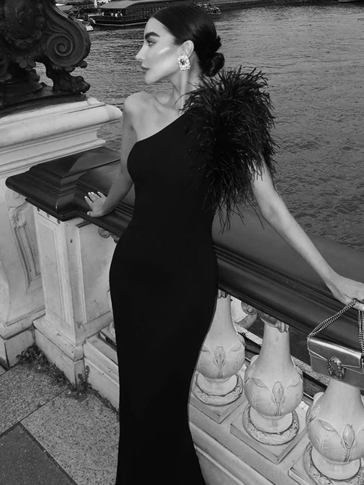 Dulzura Black Feather One-Shoulder Maxi Dress