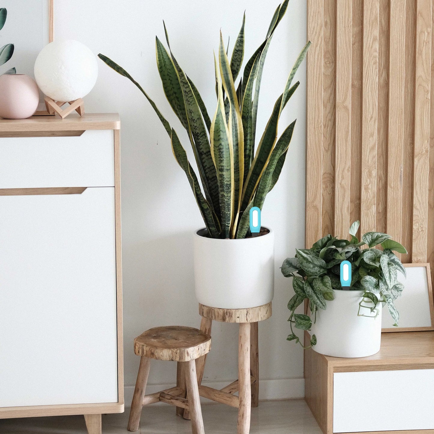 Tuya Smart Zigbee Soil Tester – Temperature & Humidity Meter for Garden Automation & Irrigation Monitoring